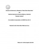 Escuela de Enfermería y Obstetricia “María Elene Maza Brito”