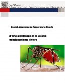 El Virus del Dengue en la Colonia Fraccionamiento Riviera