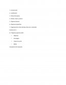 Programa de trabajo POLÍTICAS DE ATENCIÓN DEL SERVICIO