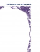 TÉCNICAS DE LA ENTREVISTA Y OBSERVACIÓN: INFORME PSICOLÓGICO