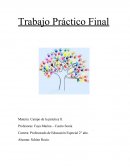 EL GRAN TRABAJO FINAL CAMPO DE LA PRACTICA II