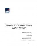PROYECTO DE MARKETING ELECTRONICO