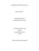 SEPARACION DE MEZCLAS: CRISTALIZACION DE ACETANILIDA