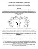 ORIGEN, TRAYECTO Y DESTINO DE LA VIA CORTICO ESPINAL.