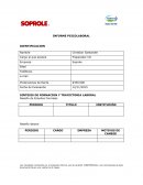 INFORME PSICOLABORAL IDENTIFICACION