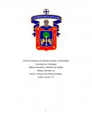 Capitalismo, capital humano y educación