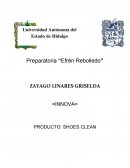 PRODUCTO: SHOES CLEAN