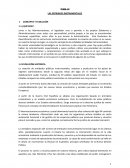 Derecho Administrativo. Las entidades instrumentales