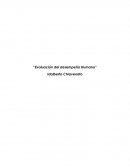 Ensayo evaluación del desempeño humano