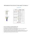 PROCEDIMIENTO PARA HACER UN CONECTOR DE CATEGORIA 6A
