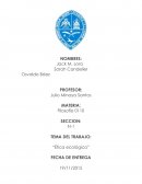 Etica Ecologica. Aporte de Hans Jonas a la ética ecológica