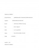 REINGENIERÍA DE NEGOCIOS TRABAJO ACADÉMICO