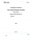 Investigación de Mercados.Chilcano Preparado y Envasado