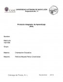 Pia de orientacion. MATRÍZ DE ESTRATEGIAS DE APRENDIZAJE