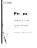 Este ensayo cuenta con todos los temas que hemos visto en la materia de orientación educativa durante el semestre