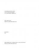 PROCEDIMIENTOS Y NORMAS PARA LA REALIZACIÓN DE PRÁCTICAS PRE PROFESIONALES