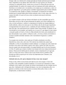 La importancia de fomentar energías verdes