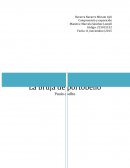 En este Texto les hablare de Athena o sherine khalil