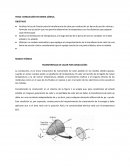 CONDUCCIÓN EN BARRA CÓNICA