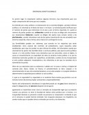 Sentencias constitucionales