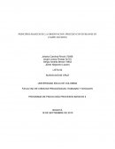 PRINCIPIOS BASICOS DE LA OBSERVACION: PROCESO CON HUMANOS EN CAMPO EXTERNO