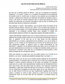 LAS POLÍTICAS PÚBLICAS EN MÉXICO