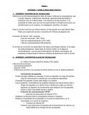 INTERNET Y WORLD WIDE WEB (PARTE1)