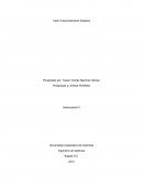 Ejemplo De Caso De Éxito (Analizar Caso La Fundación Juan Felipe Gómez Escobar)
