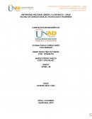 CAMPOS ELECTROMAGNETICOS. INTRODUCCIÓN CONSOLIDADA