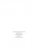Prestación económica por lesiones múltiples. Legislación de prevención