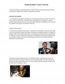 Teoria de doble flujo ejemplos