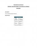 INFORME Y REFLEXIÓN SOBRE LA SITUACIÓN DE LA EMPRESA METALMEX