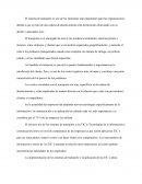 Importancia de los Sistemas de Transporte y Tecnologías de Información en la función logística