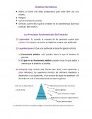Los Principios Fundamentales Del Derecho