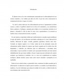 La sobreexplotación de los recursos naturales y sus concecuencias