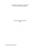 Técnicas de solución de problemas - Ensayo