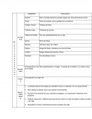 Resumén Libro Puente de la Soledad