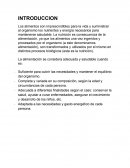 Nutricion adecuada para dientes sanos