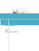 Impactos de las variaciones de los tipos de cambio