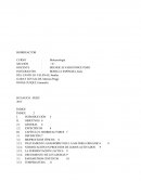 BIORREACTOR CURSO	: Biotecnología SECCIÓN	:	“A”