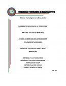ESTUDIO DE MERCADO DE LA PRODUCCIÓN DE HONGO SETA ORGÁNICO