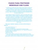 PASOS PARA PROTEGER MEMORIAS USB FLASH