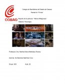 Reporte de la película ´´Manos Milagrosas´´