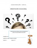 Orientacion vocacional: Resultados de cuestionario de intereses