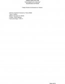 Trabajo Practico de Educacion en Valores