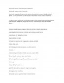 Superintendente de operación