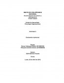 Programa de Remuneración Variable