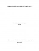 Proyecto de espanol conflicto.