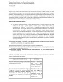 Analogía del Hombre y la Máquina