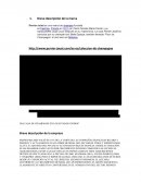 Comunicacion Integral de Marketing Perrier Jouet